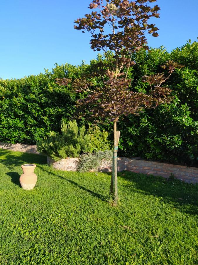 Soggiorno In Relax Correggioverde Zewnętrze zdjęcie
