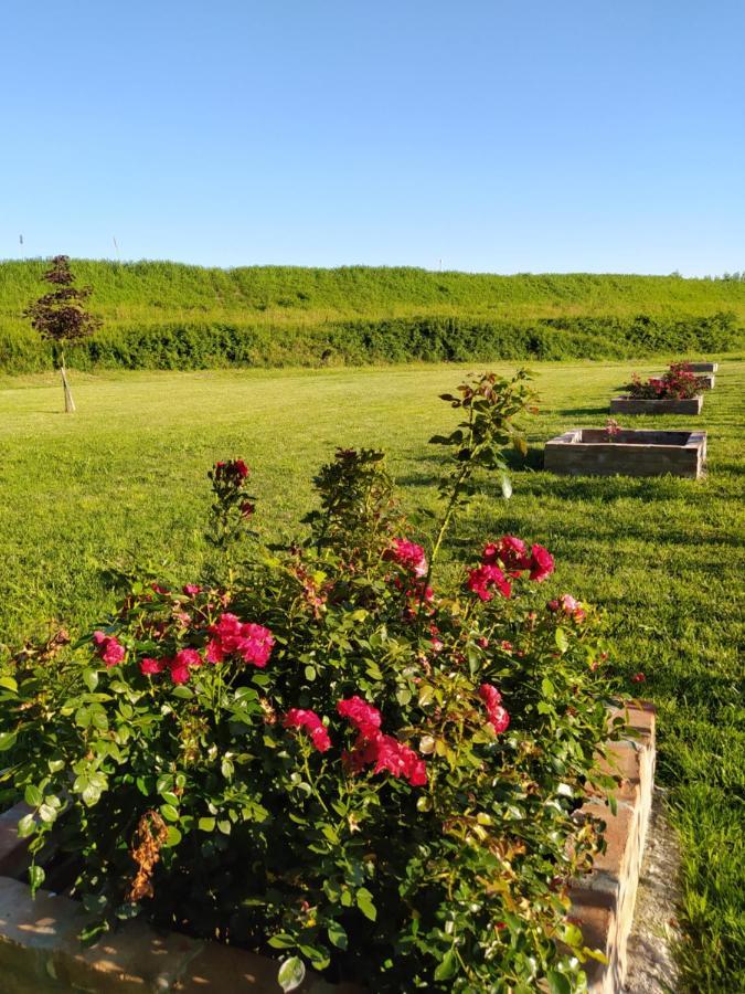 Soggiorno In Relax Correggioverde Zewnętrze zdjęcie